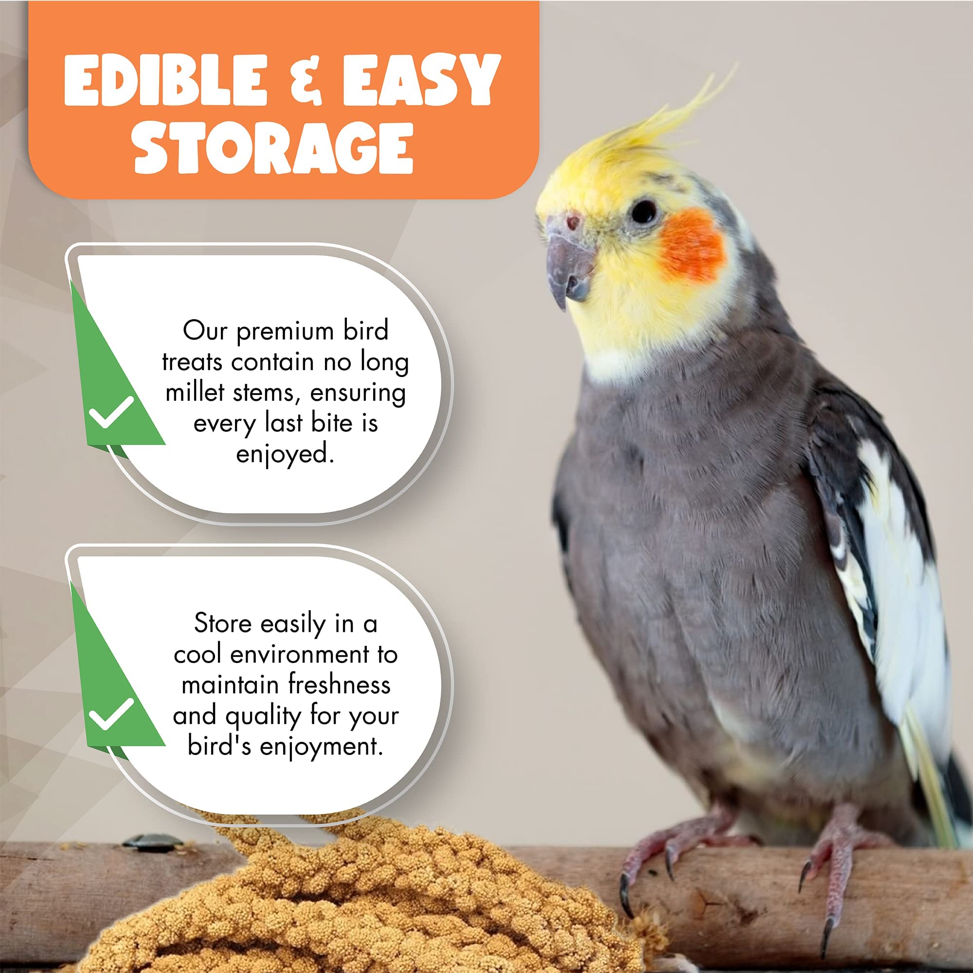Vivlly 5LBS GMO-Free Sun Dried Spray Millet - Original Bird Treat Millet for Parakeets, Cockatiels, Finches & More - Non-GMO, Hi
